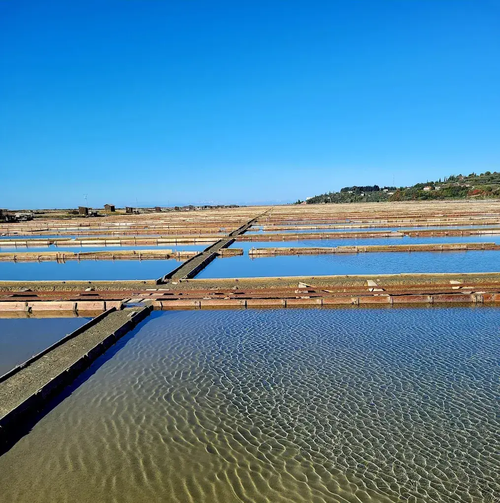 Sečovlje Salina Nature Park