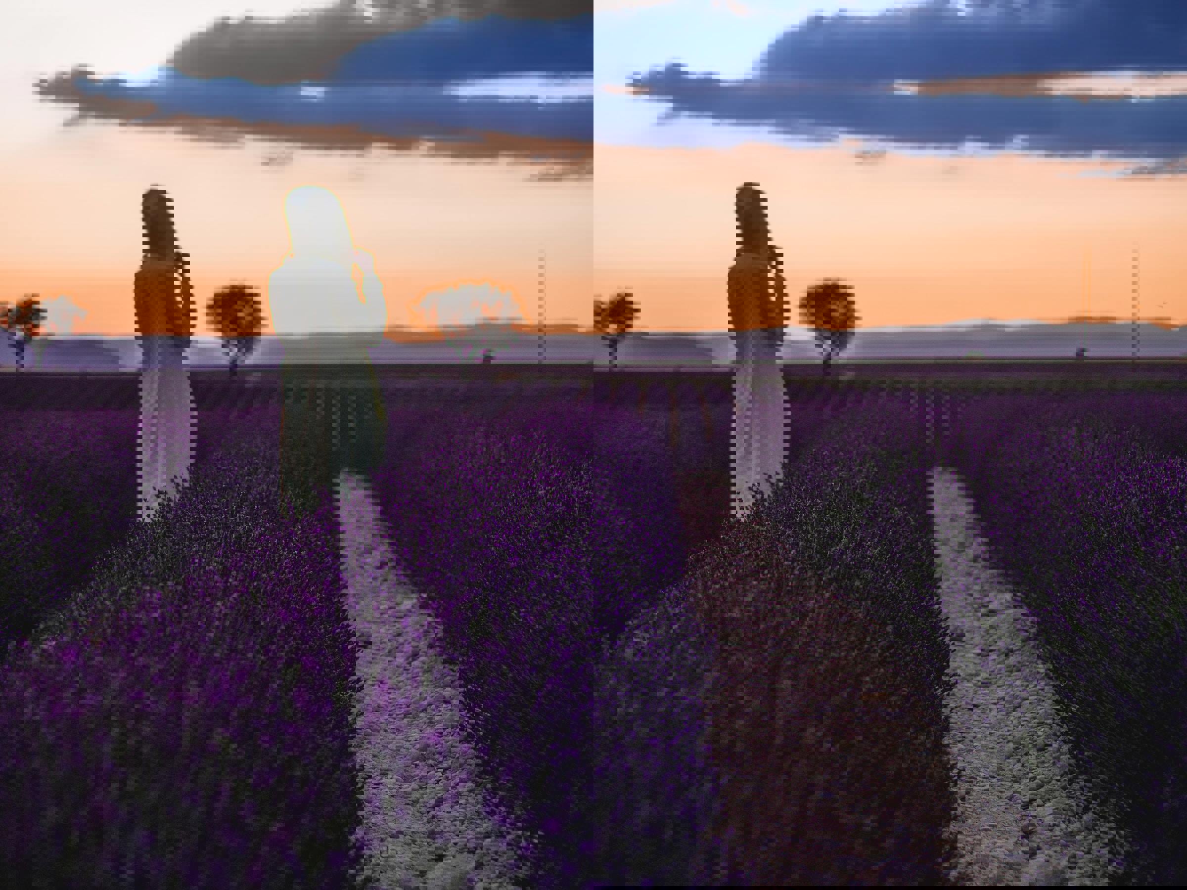 provence
