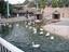 Qatarian zoo