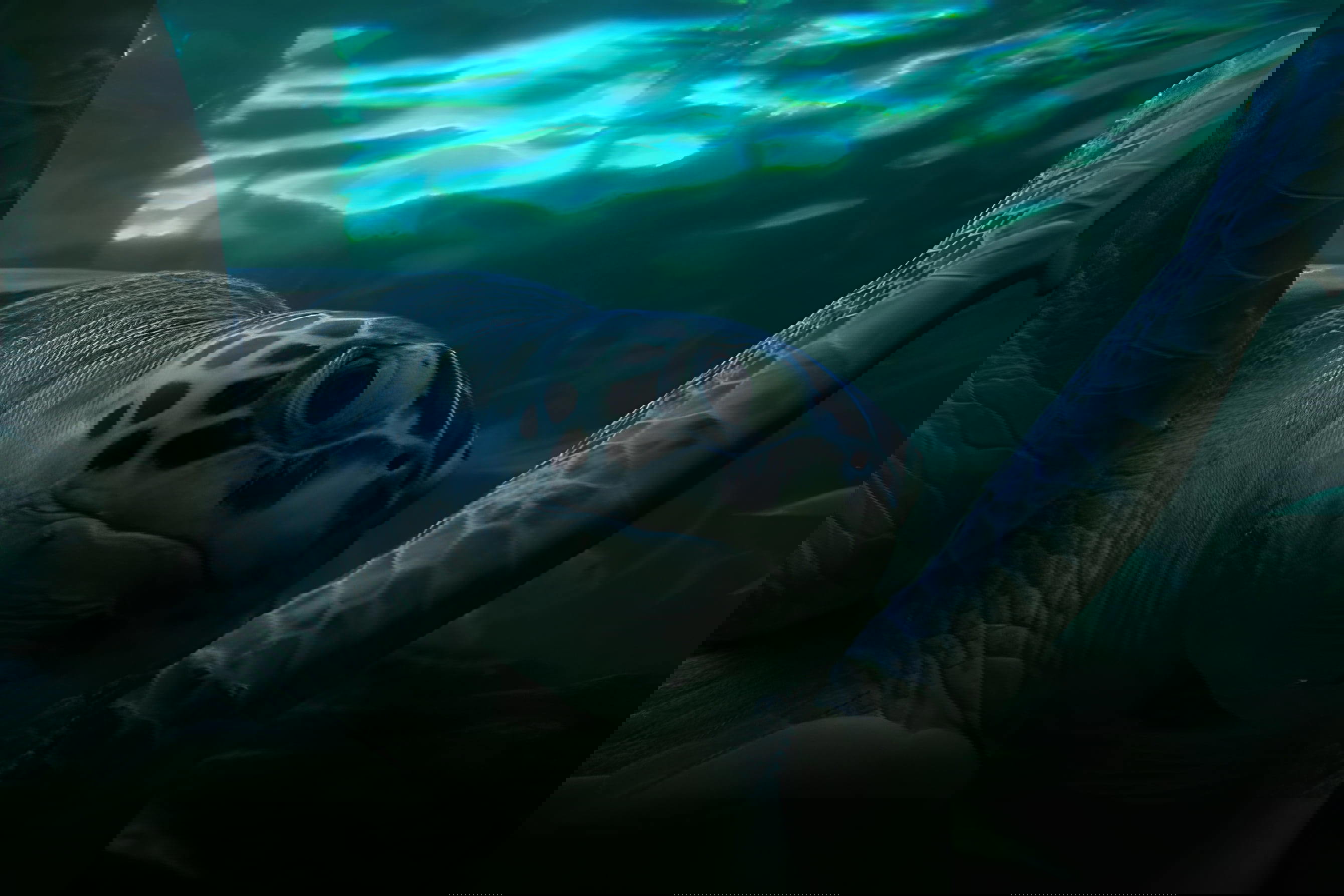 oceanarium