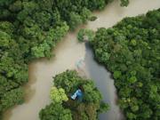 borneo borneo