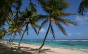 Guadeloupe Guadeloupe