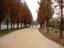Seoul Forest path