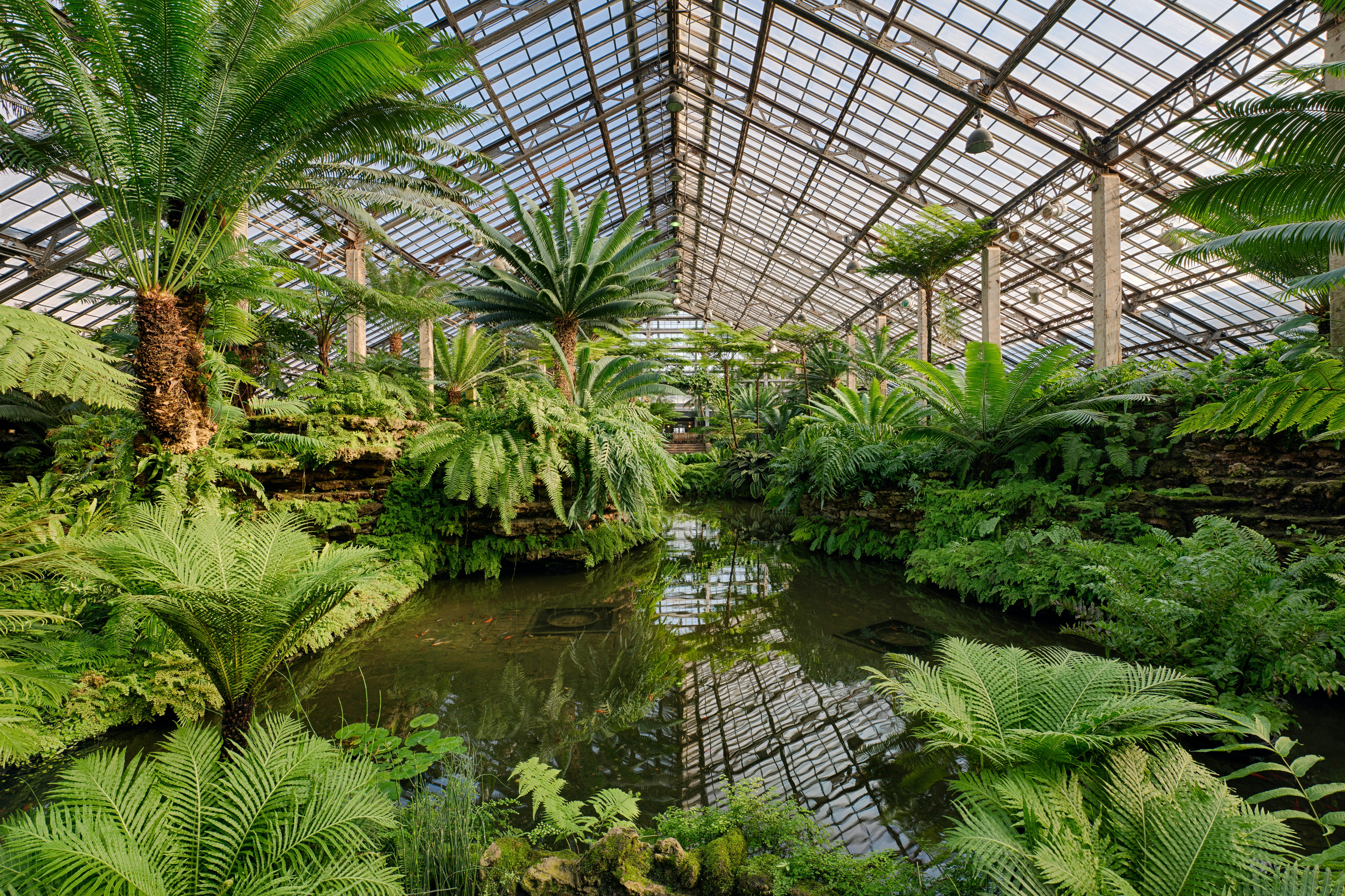 CHICAGO, ILLINOIS - DECEMBER 9: Fern Room of the Garfield Park Conservatory on December 9, 2013 in Chicago, Illinois; Shutterstock ID 166759727; Your name (First / Last): Josh Vogel; Project no. or GL code: 56530; Network activity no. or Cost Centre: Online-Design; Product or Project: 65050/7529/Josh Vogel/LP.com Destination Galleries
