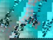 bora bora, pohled shora bora bora, pohled shora