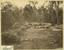 Sunshine Coast - Preparing logs for rafting on the Noosa River, Noosa, 1889