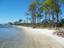 Pensacola - Big Lagoon State Park: Beach