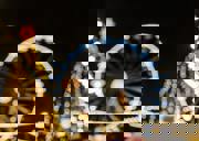 Vánoční trhy v Brně Vánoční trhy v Brně