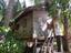 Bodden Tours: Mayan Jungle Canopy Zipline | Victor's Monkey & Sloth Sanctuary