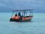 Tohora Bora Bora Snorkeling Lagoon Tours & Whale Watching