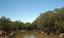 Narrandera - Murrumbidgee River at Narrandera.