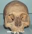 Asijút - Skull of Khety 1950bc Asyut