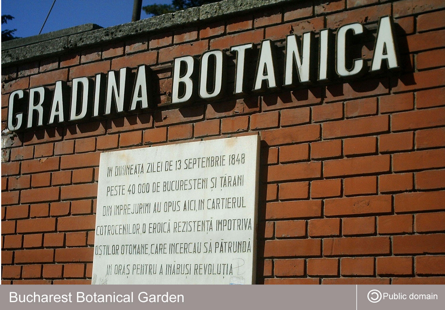 Gradina Botanica din Bucuresti
