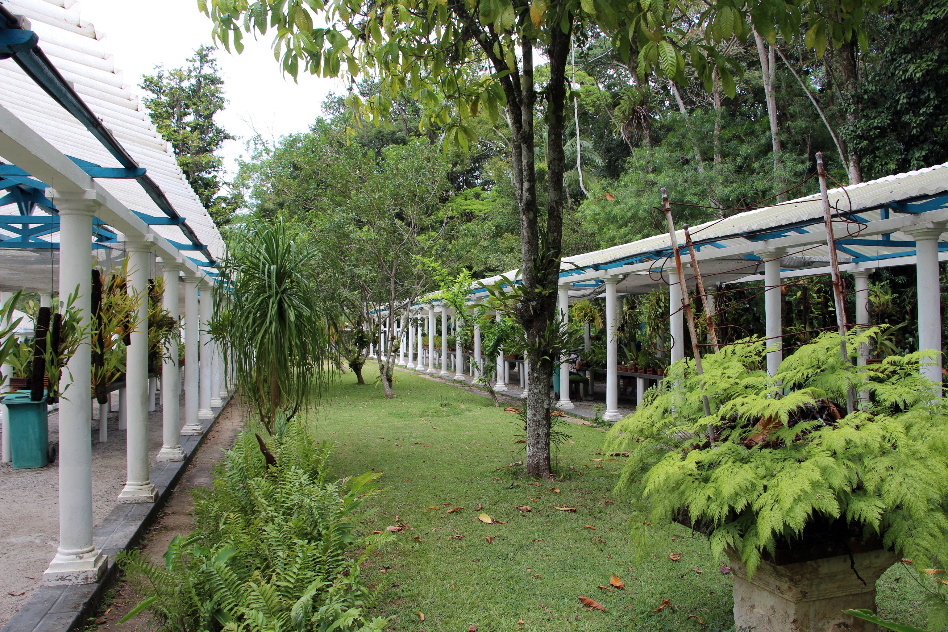 Botanical Garden, Rio de Janeiro Botanical Garden, Rio de Janeiro
