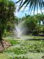 Nevis - Nevis Botanical Gardens