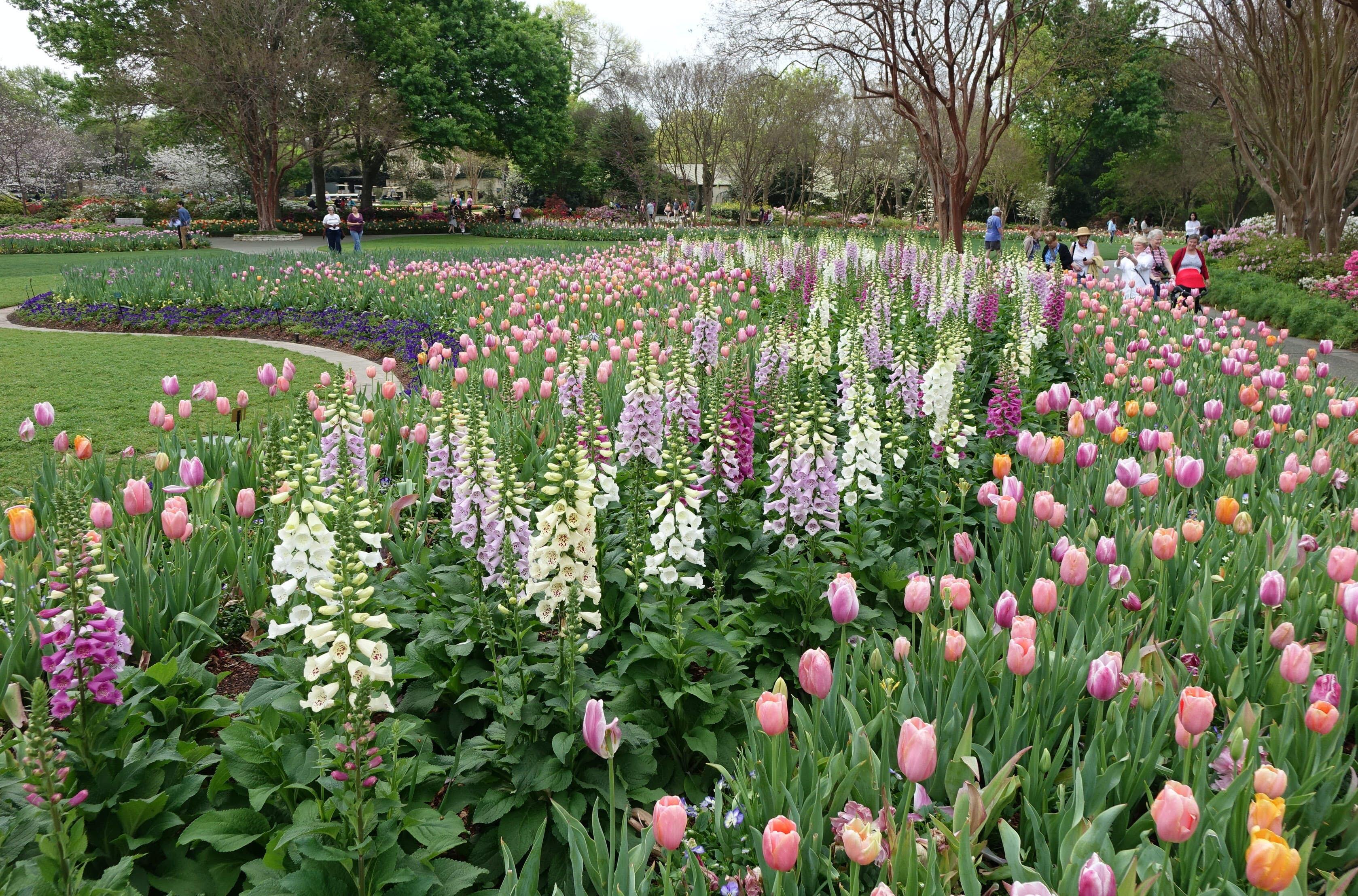 DALLAS, March 23, 2017 -- People visit the flower show "Dallas Blooms: Flower Power" at the Dallas Arboretum and Botanical Garden in Dallas, the United States, March 22, 2017. The flower show was held from Feb. 25 to April 9 under the theme "Peace, love and flower power". (Xinhua/Zhang Yongxing via Getty Images)