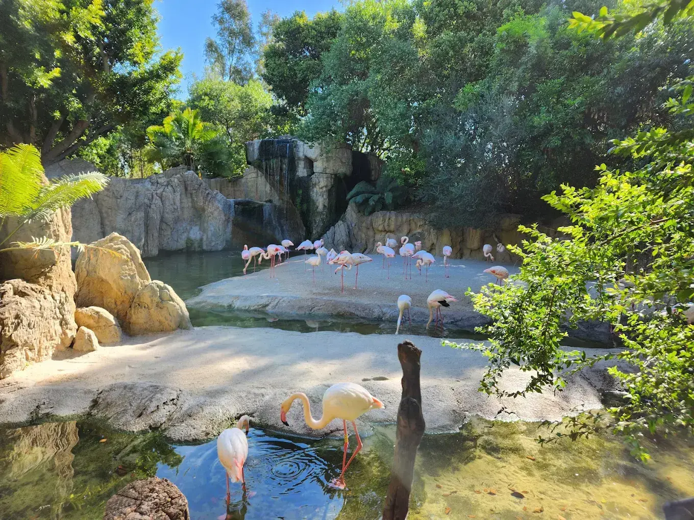 biopark-valencie