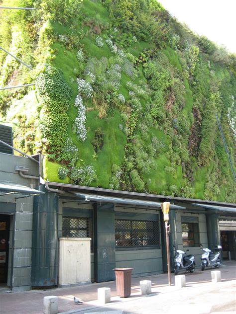 tripadvisor.com