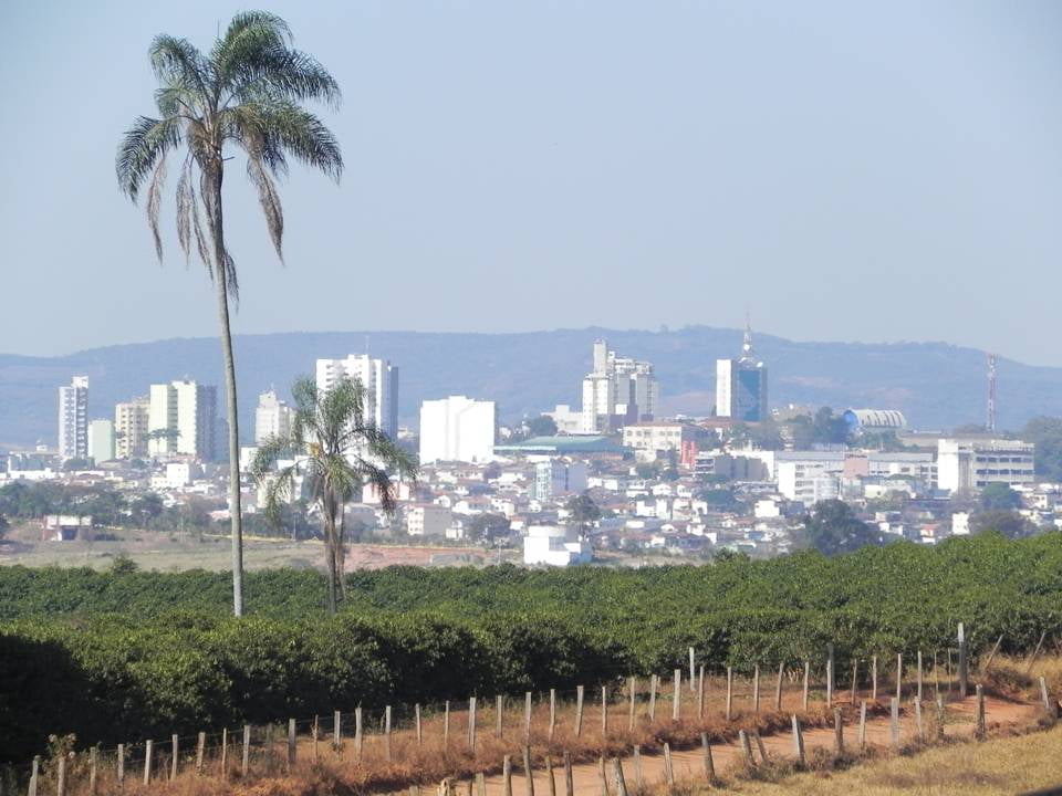 Varginha - Plantação de café em Varginha Varginha - Plantação de café em Varginha