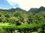 Lyon Arboretum, Oahu, Hawaii, USA - general view.