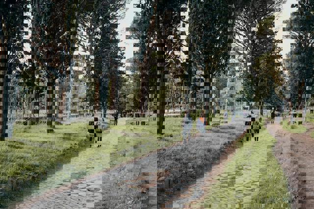 Via Appia