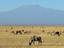 Národní park Amboseli