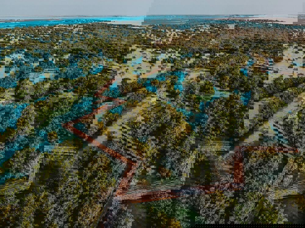 Jubail Mangrove Park