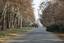 The main alley towards the entrance in Tehran Botanical Garden.